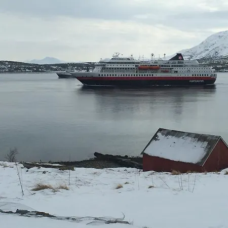 Bustad