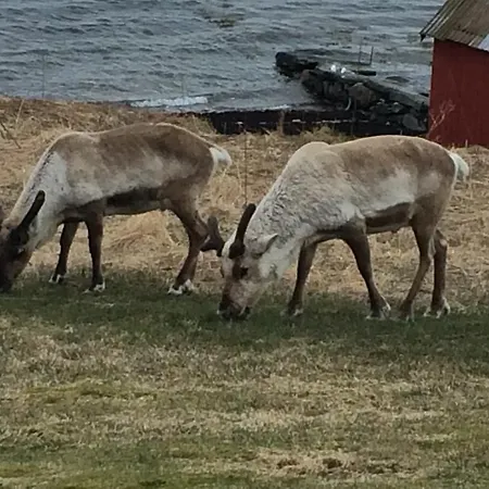 Holiday home Bustad *