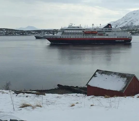 Bustad
